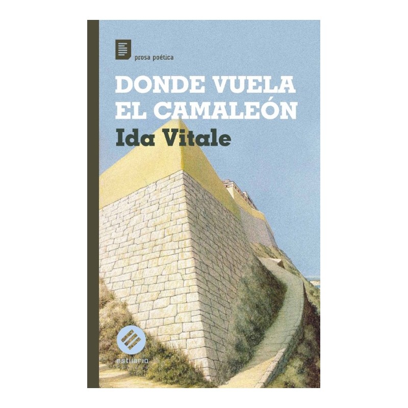 DONDE VUELA EL CAMALEON