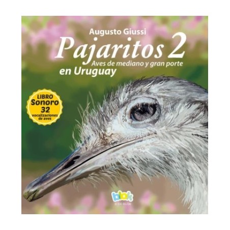 PAJARITOS  EN URUGUAY 2